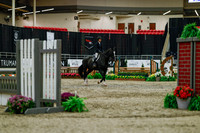 2025 - Haylee - Royal West - Saturday October 18th - 03394