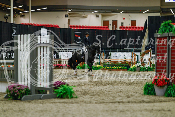 2025 - Haylee - Royal West - Saturday October 18th - 03394