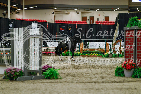 2025 - Haylee - Royal West - Saturday October 18th - 03395
