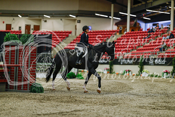 2025 - Haylee - Royal West - Saturday October 18th - 03396