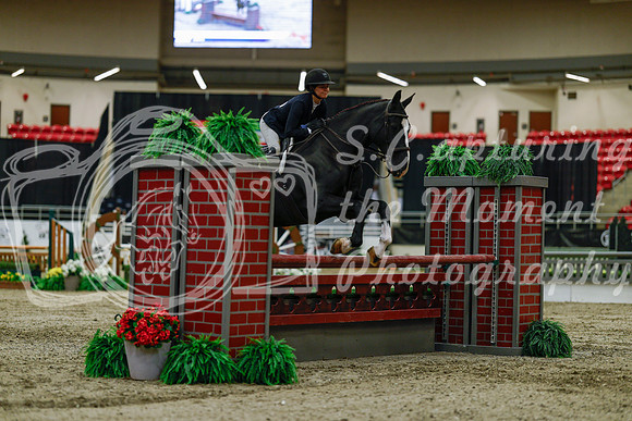 2025 - Haylee - Royal West - Saturday October 18th - 03400