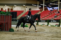 2025 - Haylee - Royal West - Saturday October 18th - 03398
