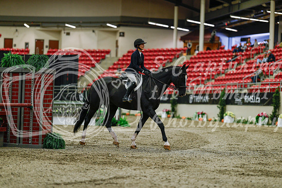 2025 - Haylee - Royal West - Saturday October 18th - 03398