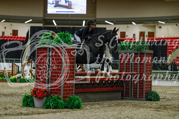 2025 - Haylee - Royal West - Saturday October 18th - 03401