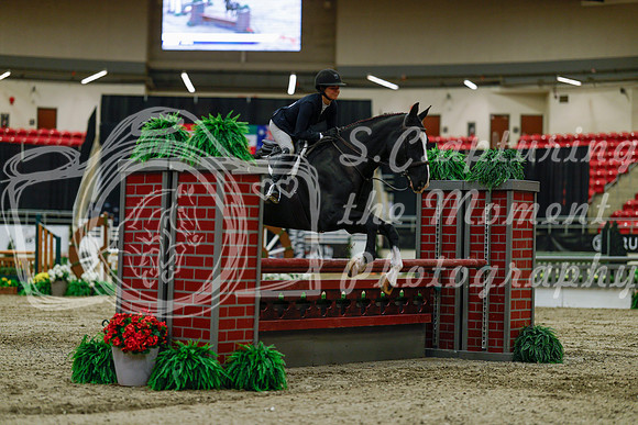 2025 - Haylee - Royal West - Saturday October 18th - 03402