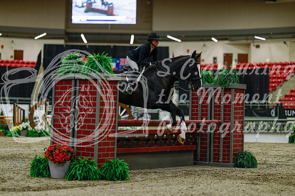 2025 - Haylee - Royal West - Saturday October 18th - 03403
