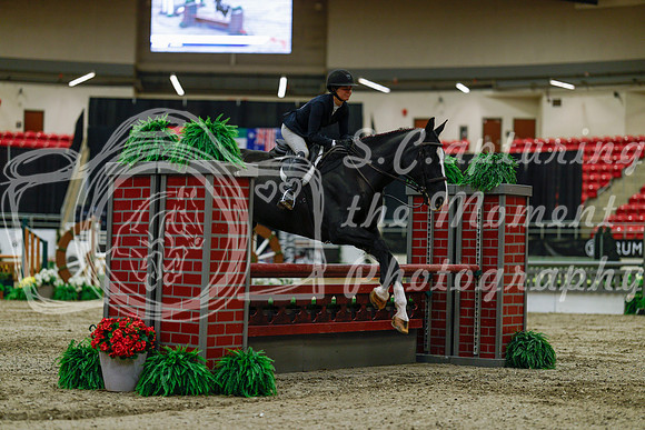 2025 - Haylee - Royal West - Saturday October 18th - 03404