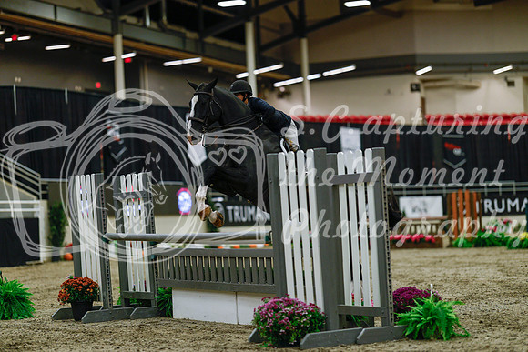 2025 - Haylee - Royal West - Saturday October 18th - 03406