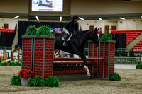 2025 - Haylee - Royal West - Saturday October 18th - 03405