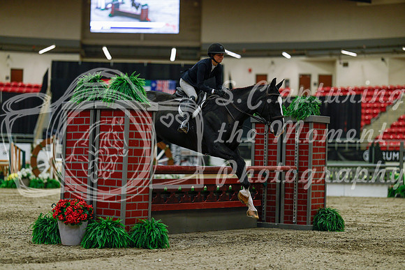 2025 - Haylee - Royal West - Saturday October 18th - 03405