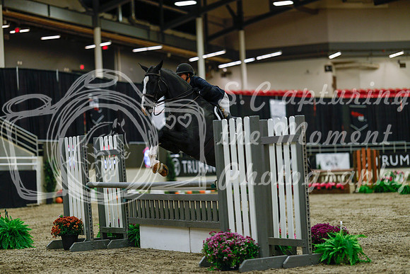 2025 - Haylee - Royal West - Saturday October 18th - 03407