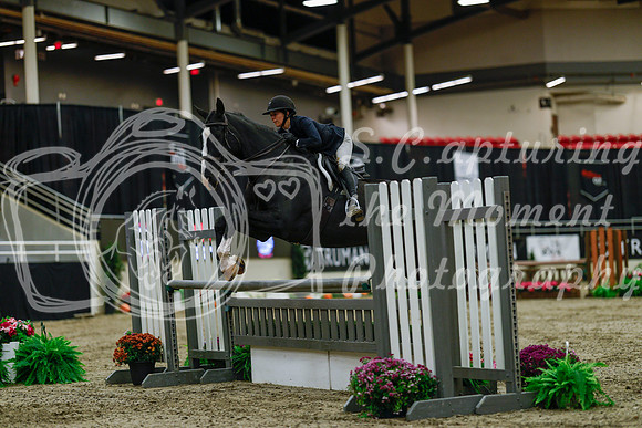 2025 - Haylee - Royal West - Saturday October 18th - 03410