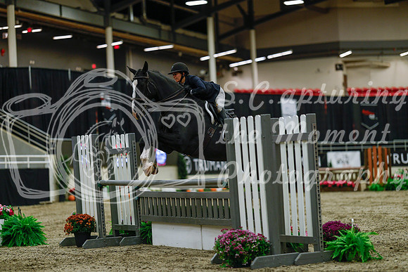 2025 - Haylee - Royal West - Saturday October 18th - 03409