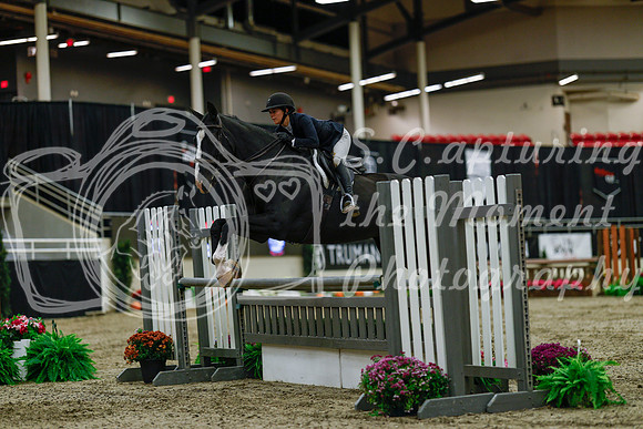 2025 - Haylee - Royal West - Saturday October 18th - 03411