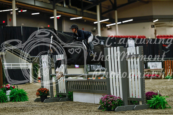 2025 - Haylee - Royal West - Saturday October 18th - 03412