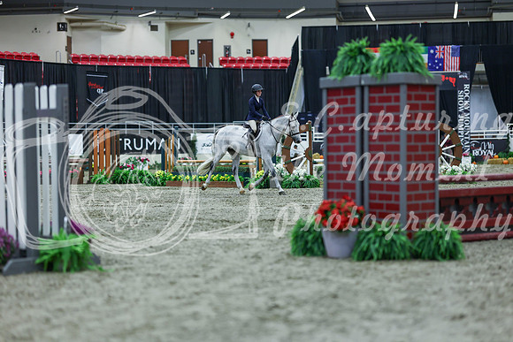 2025 - Shea - Royal West - Saturday October 18th - 00184