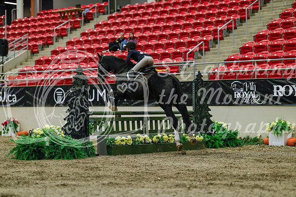 2025 - Haylee - Royal West - Saturday October 18th - 03413