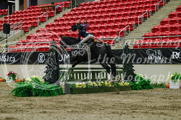 2025 - Haylee - Royal West - Saturday October 18th - 03415