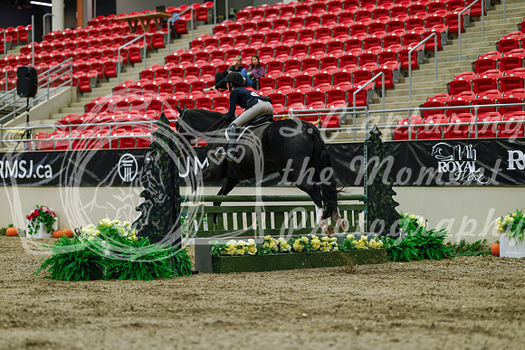 2025 - Haylee - Royal West - Saturday October 18th - 03416