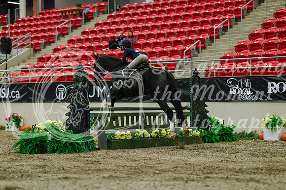 2025 - Haylee - Royal West - Saturday October 18th - 03414