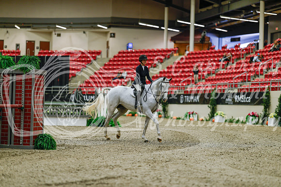 2025 - Haylee - Royal West - Saturday October 18th - 03116