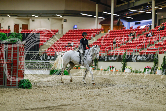 2025 - Haylee - Royal West - Saturday October 18th - 03117