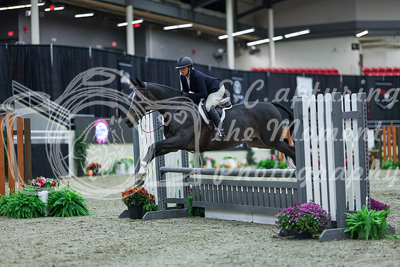 2025 - Shea - Royal West - Saturday October 18th - 00023
