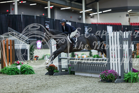 2025 - Shea - Royal West - Saturday October 18th - 00024