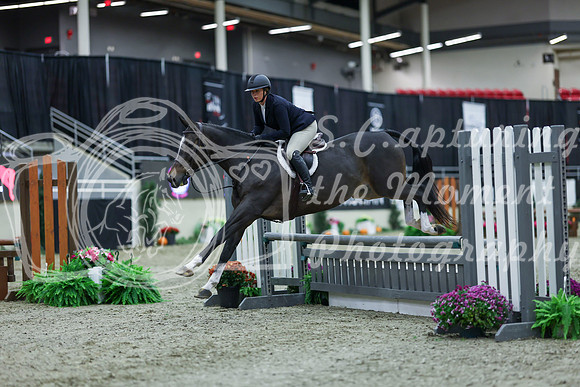 2025 - Shea - Royal West - Saturday October 18th - 00025