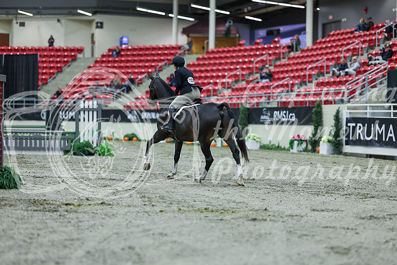 2025 - Shea - Royal West - Saturday October 18th - 00149