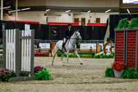 2025 - Haylee - Royal West - Saturday October 18th - 03123