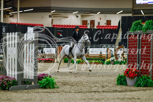 2025 - Haylee - Royal West - Saturday October 18th - 03123