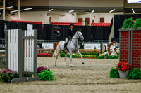 2025 - Haylee - Royal West - Saturday October 18th - 03122