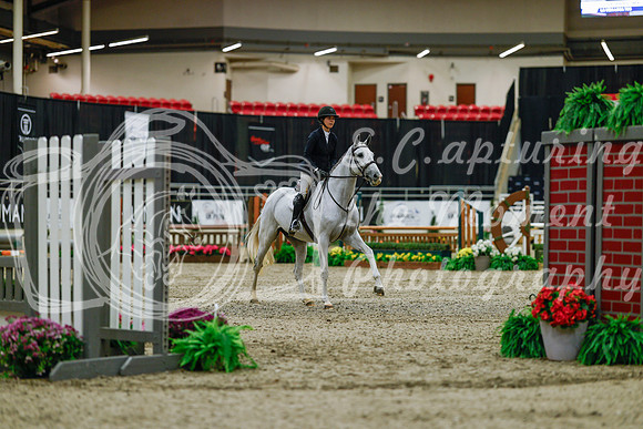 2025 - Haylee - Royal West - Saturday October 18th - 03122