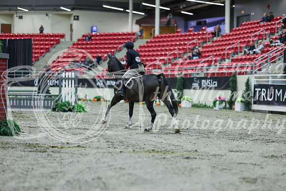 2025 - Shea - Royal West - Saturday October 18th - 00150