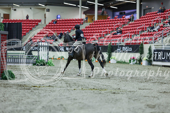 2025 - Shea - Royal West - Saturday October 18th - 00151
