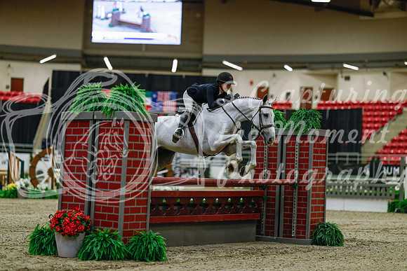 2025 - Haylee - Royal West - Saturday October 18th - 03126