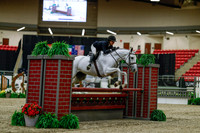 2025 - Haylee - Royal West - Saturday October 18th - 03127