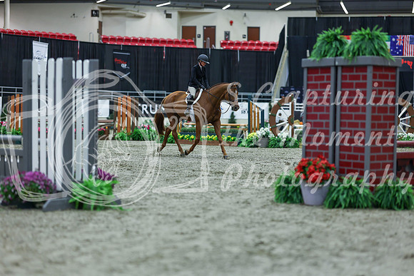 2025 - Shea - Royal West - Saturday October 18th - 00088