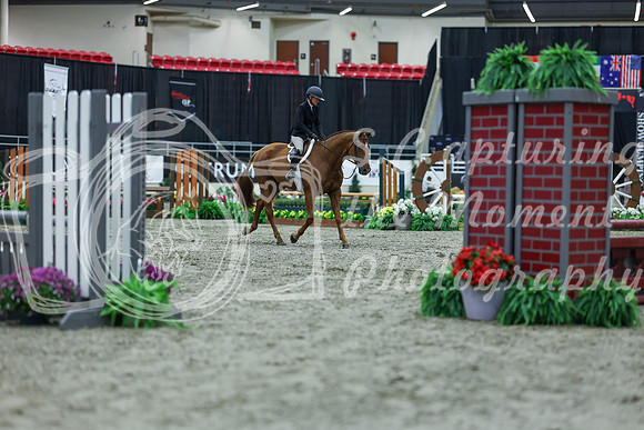 2025 - Shea - Royal West - Saturday October 18th - 00089