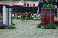 2025 - Shea - Royal West - Saturday October 18th - 00090