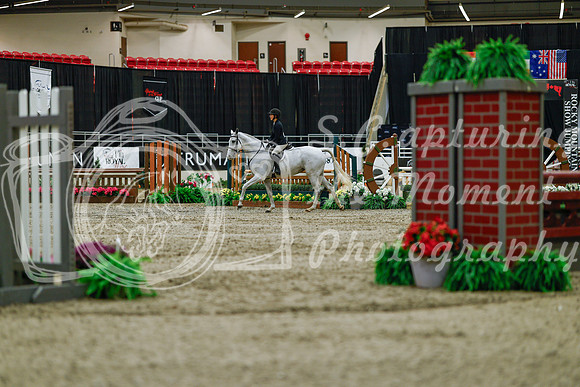 2025 - Haylee - Royal West - Saturday October 18th - 03165