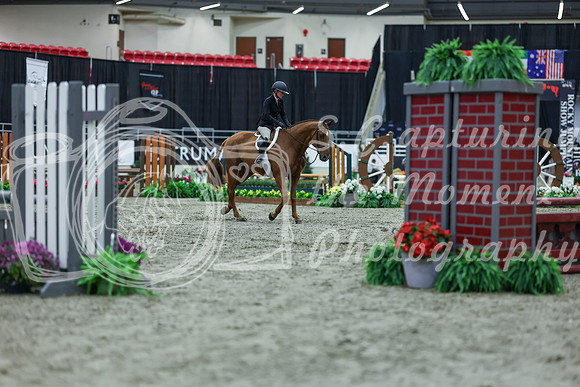 2025 - Shea - Royal West - Saturday October 18th - 00091