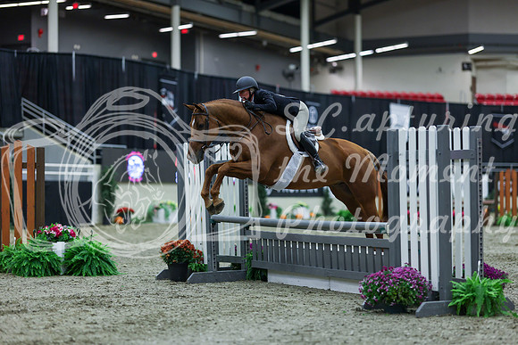 2025 - Shea - Royal West - Saturday October 18th - 00115