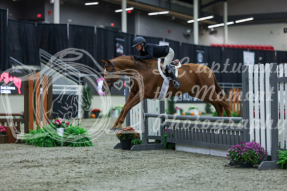 2025 - Shea - Royal West - Saturday October 18th - 00118
