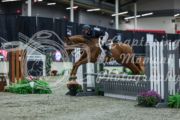 2025 - Shea - Royal West - Saturday October 18th - 00117