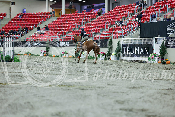 2025 - Shea - Royal West - Saturday October 18th - 00119