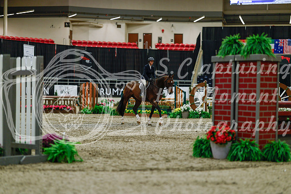 2025 - Haylee - Royal West - Saturday October 18th - 03241