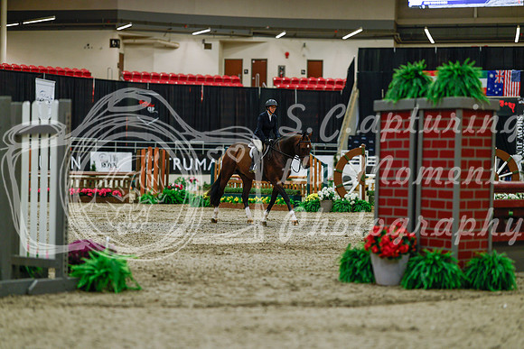 2025 - Haylee - Royal West - Saturday October 18th - 03243