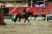2025 - Haylee - Royal West - Saturday October 18th - 03244